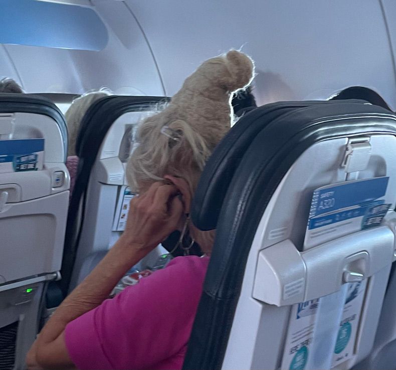 Gewoon een verzameling hilarische foto's #1628