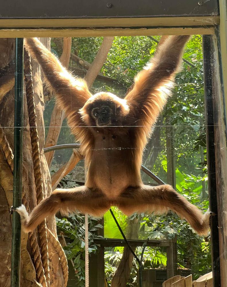 Gewoon een verzameling hilarische foto's #1628