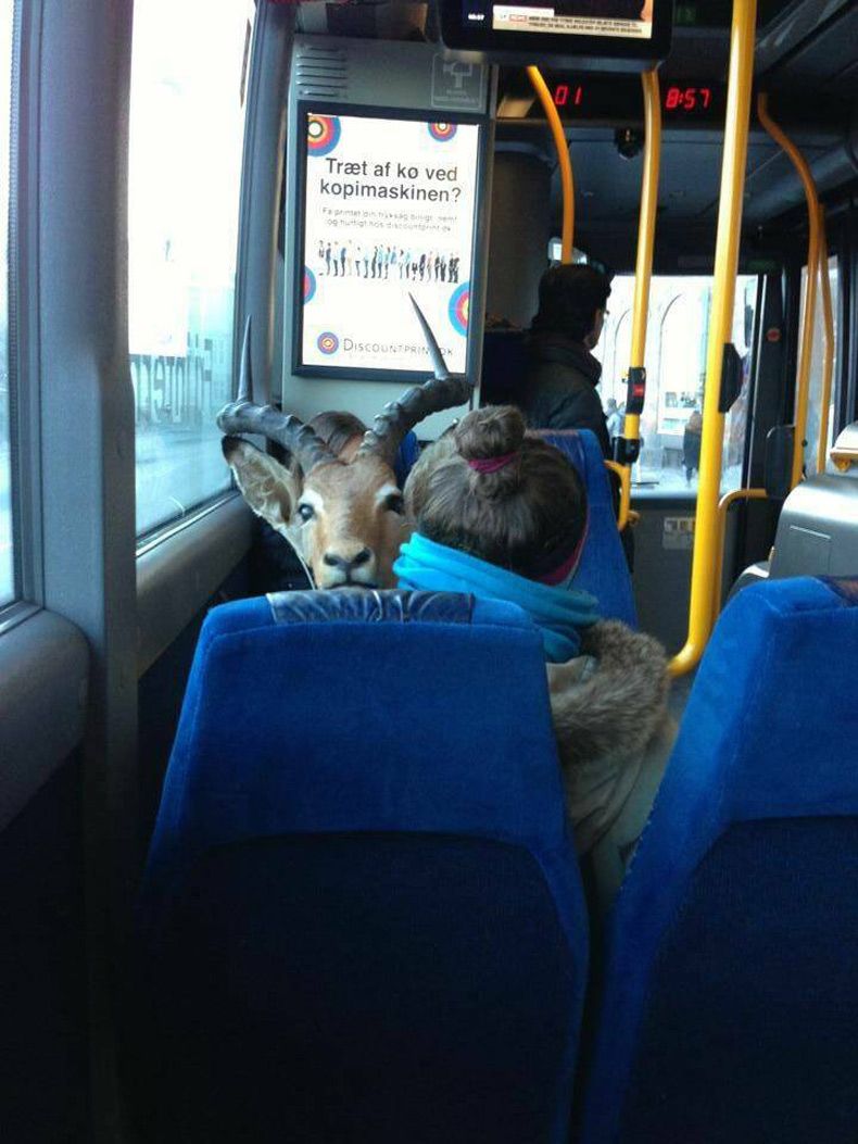 Gewoon een verzameling hilarische foto's #1629