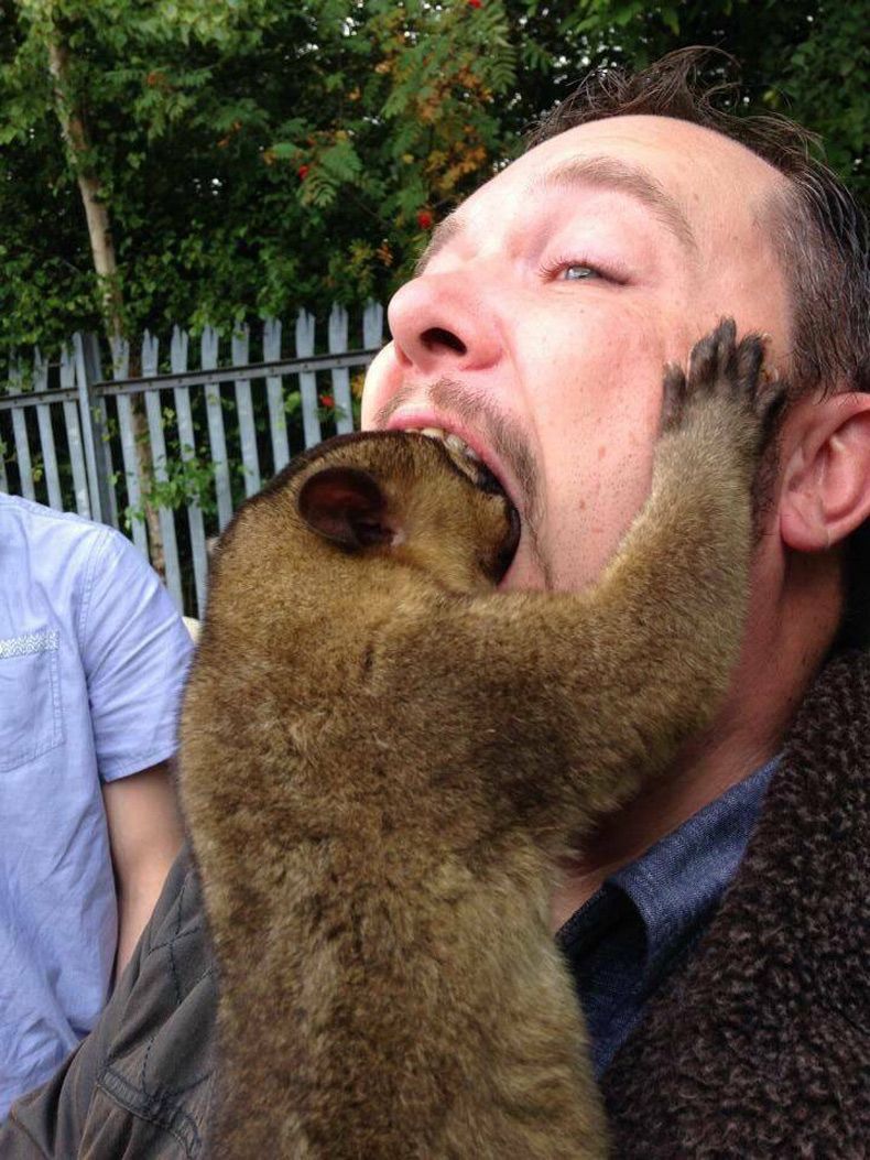 Gewoon een verzameling hilarische foto's #1629