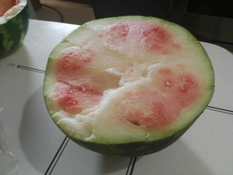 Gewoon een verzameling hilarische foto's #1629