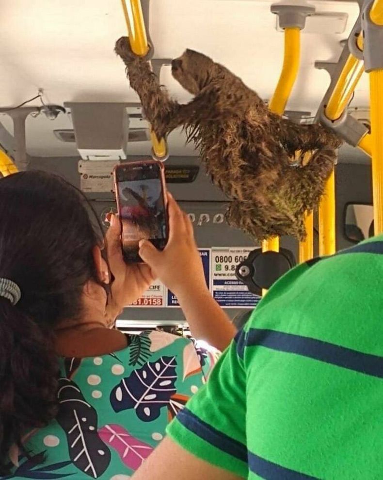 Gewoon een verzameling hilarische foto's #1629