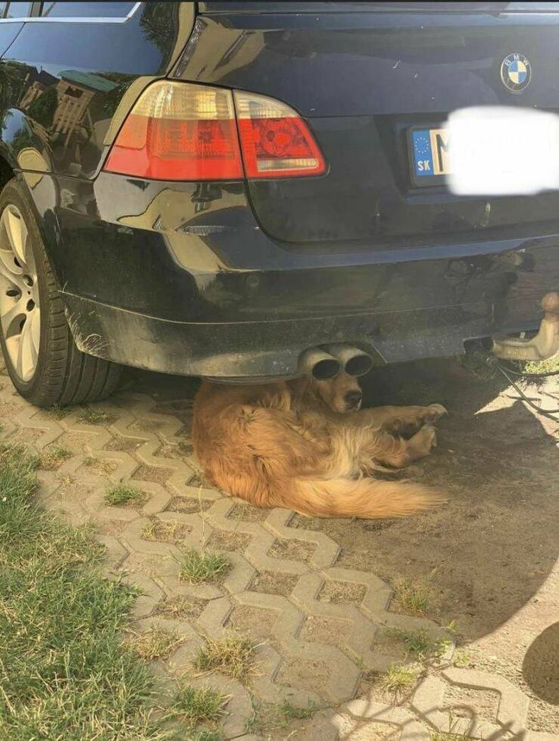 Gewoon een verzameling hilarische foto's #1629