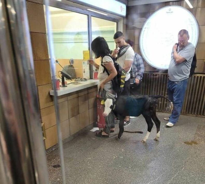 Gewoon een verzameling hilarische foto's #1629