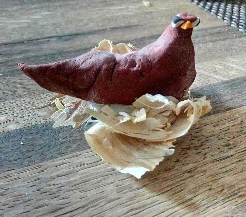 Gewoon een verzameling hilarische foto's #1629