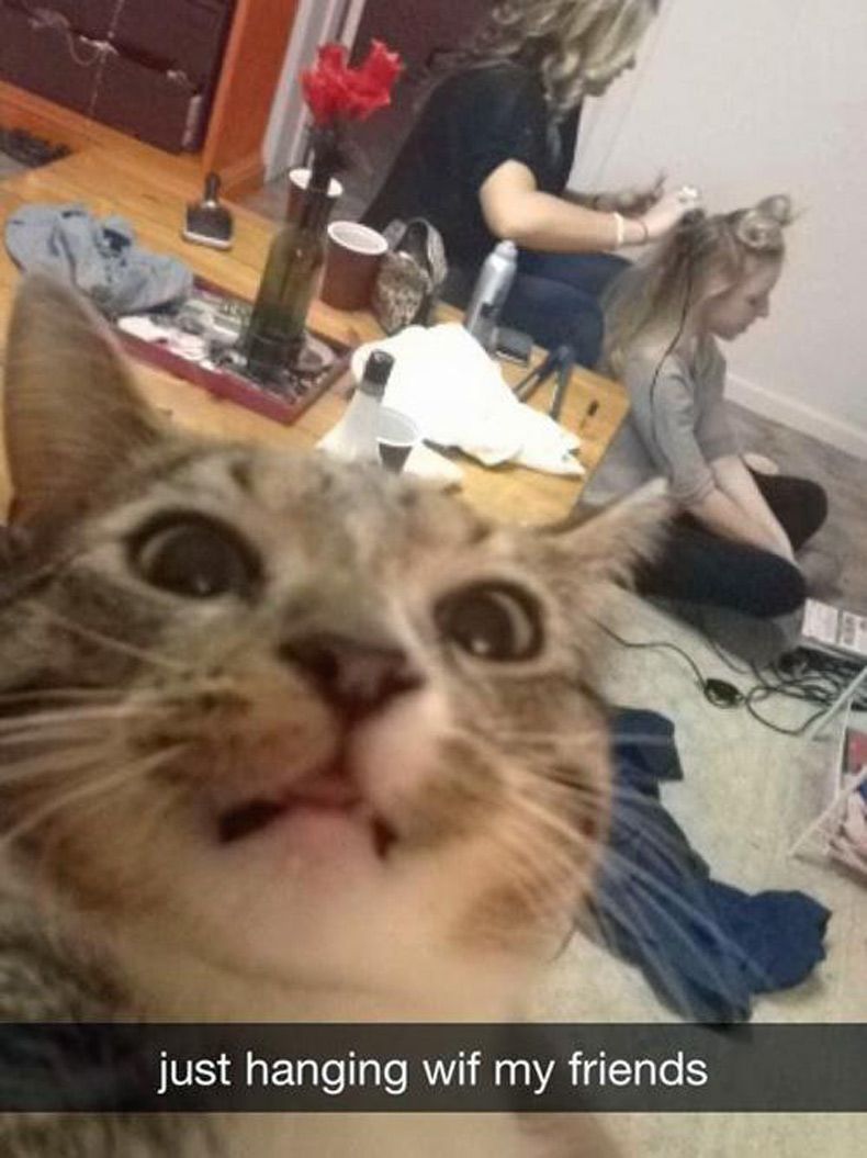 Gewoon een verzameling hilarische foto's #1629