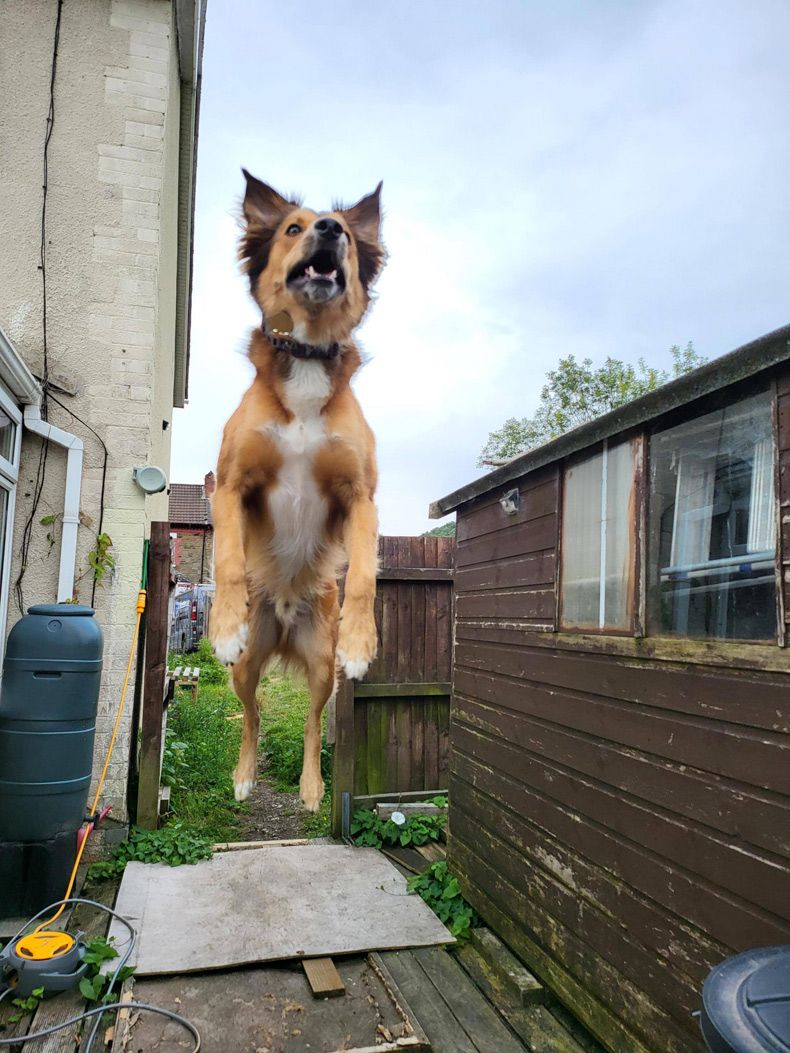 Gewoon een verzameling hilarische foto's #1629