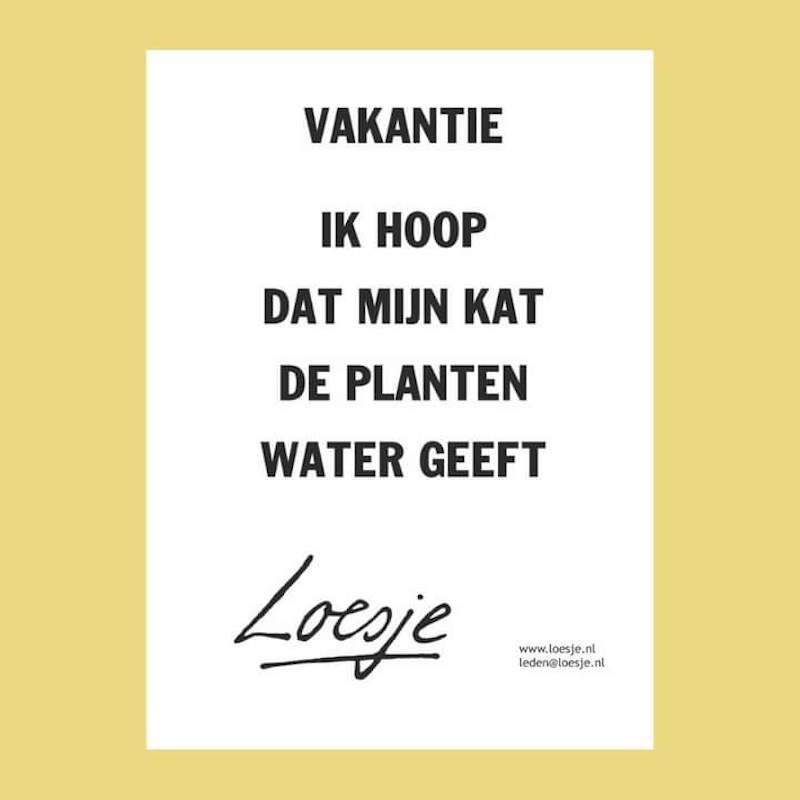 Gewoon een verzameling hilarische foto's #1630