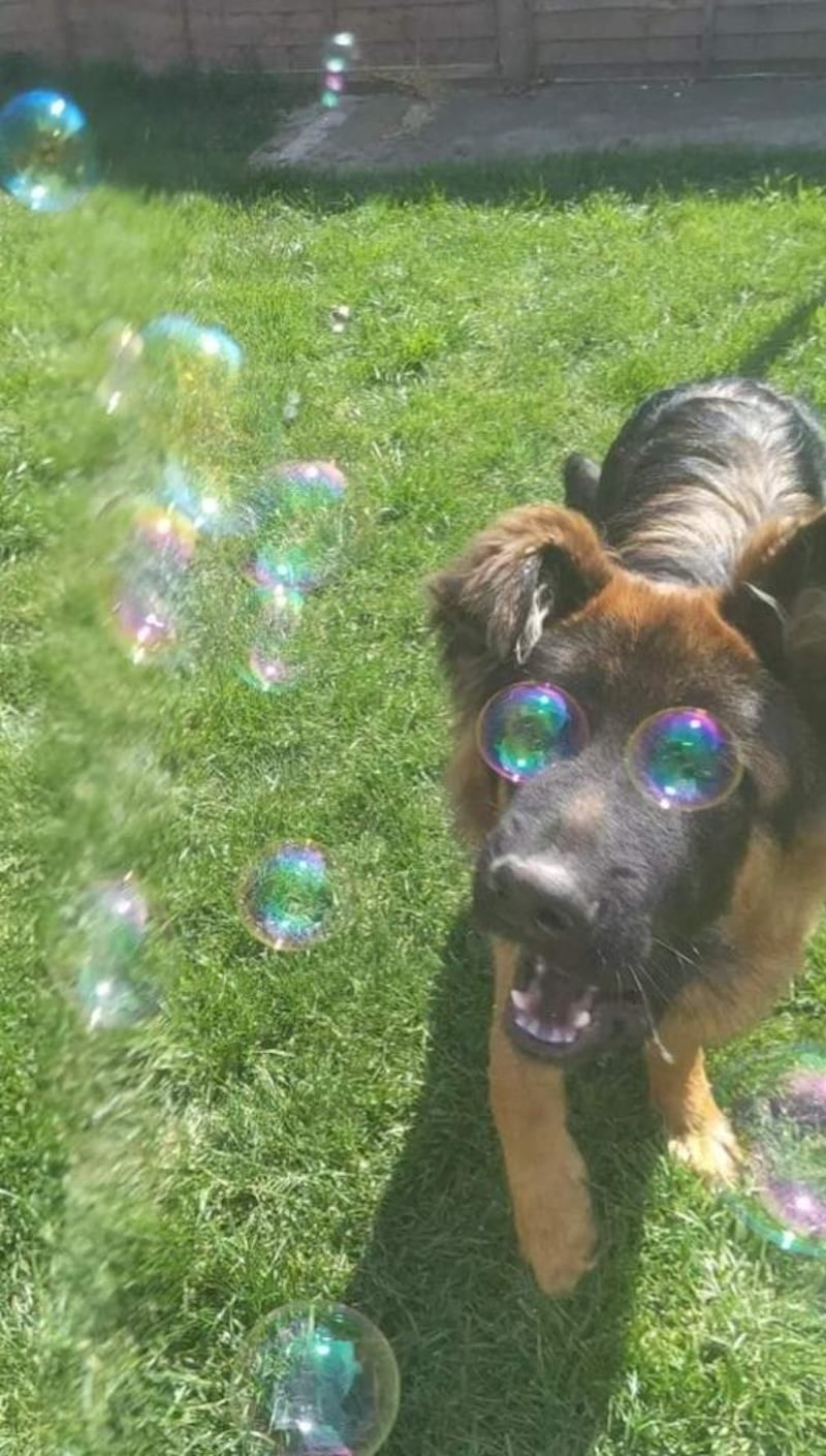 Gewoon een verzameling hilarische foto's #1630