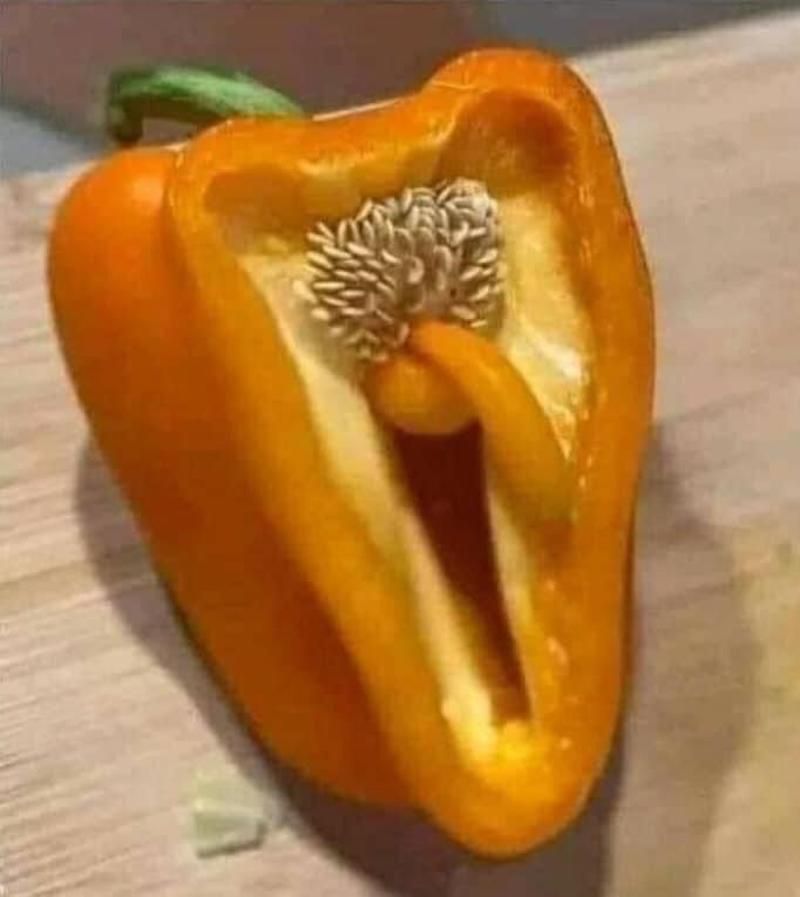 Gewoon een verzameling hilarische foto's #1630