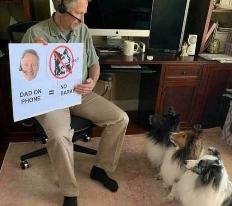Gewoon een verzameling hilarische foto's #1630