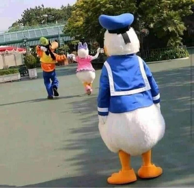 Gewoon een verzameling hilarische foto's #1630