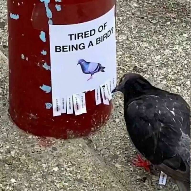 Gewoon een verzameling hilarische foto's #1630