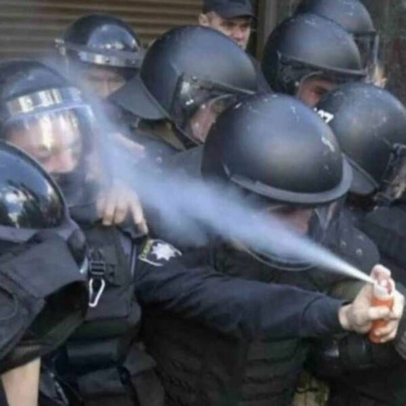 Gewoon een verzameling hilarische foto's #1630