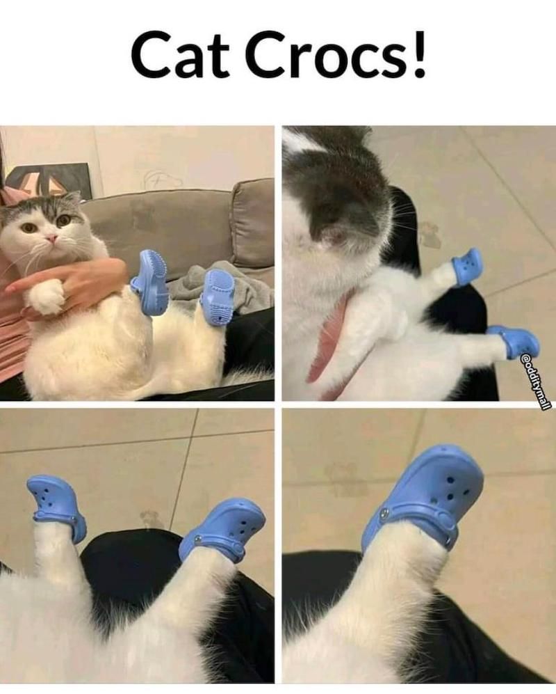 Gewoon een verzameling hilarische foto's #1630