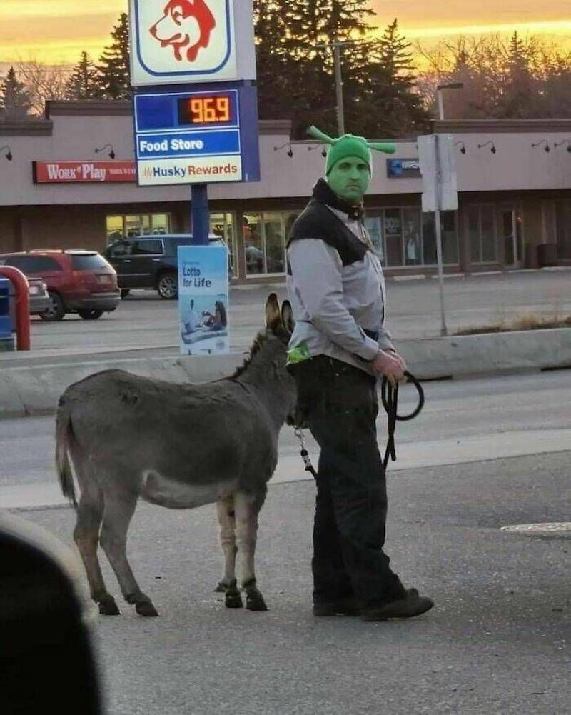 Gewoon een verzameling hilarische foto's #1630