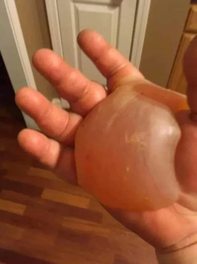 Gewoon een verzameling hilarische foto's #1622