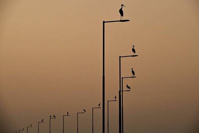 Gewoon een verzameling hilarische foto's #1622