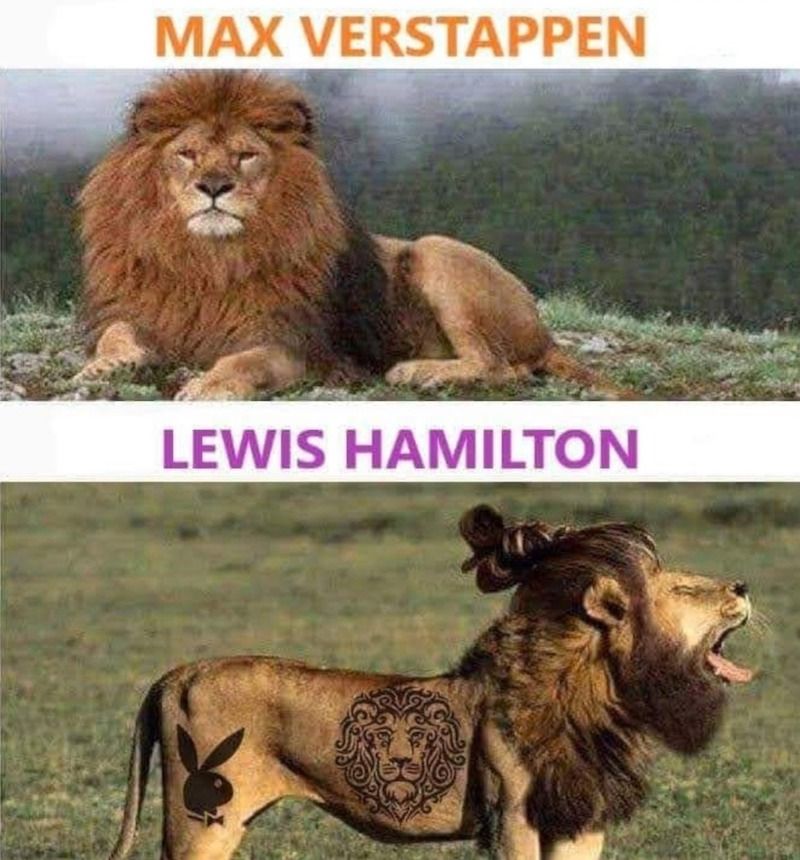 Gewoon een verzameling hilarische foto's #1622