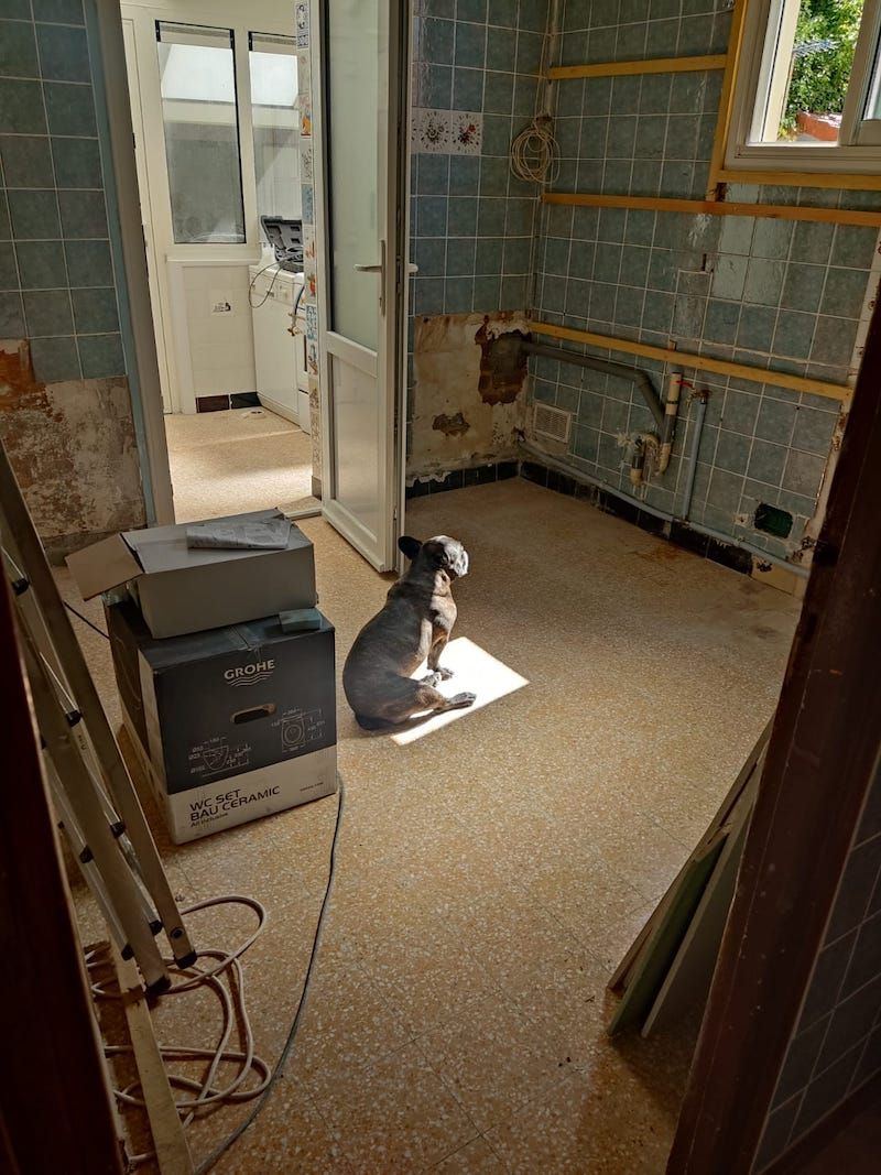 Gewoon een verzameling hilarische foto's #1622