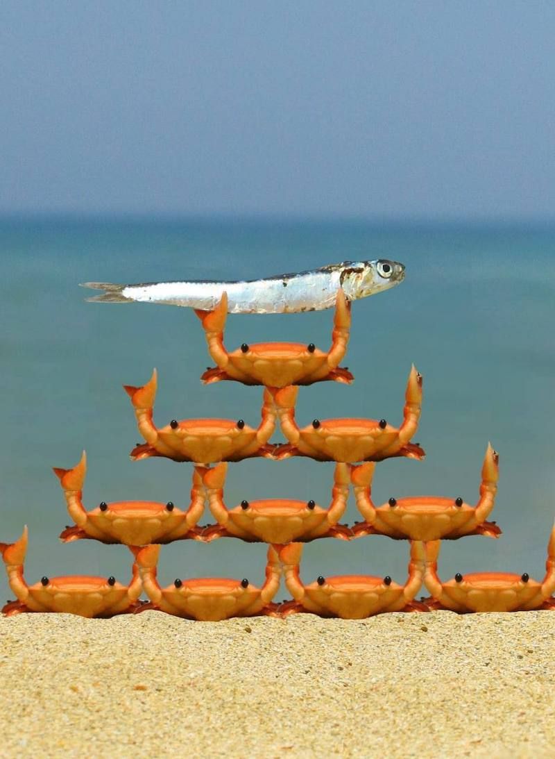 Gewoon een verzameling hilarische foto's #1622