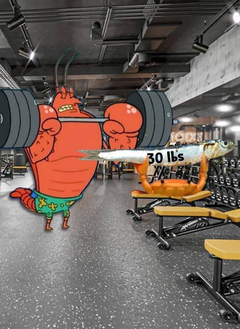 Gewoon een verzameling hilarische foto's #1622