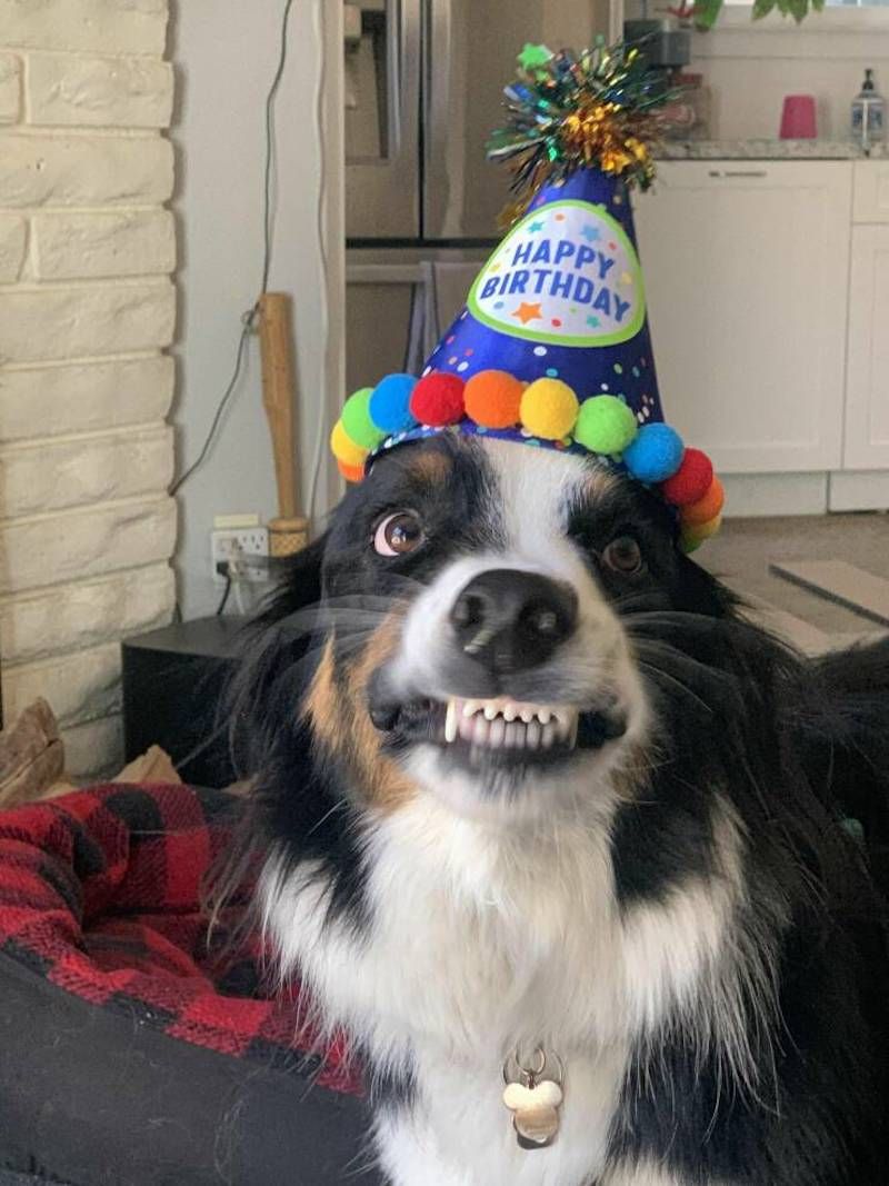 Gewoon een verzameling hilarische foto's #1622