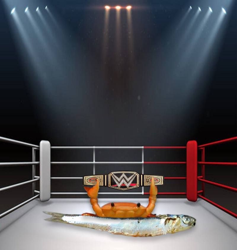 Gewoon een verzameling hilarische foto's #1622