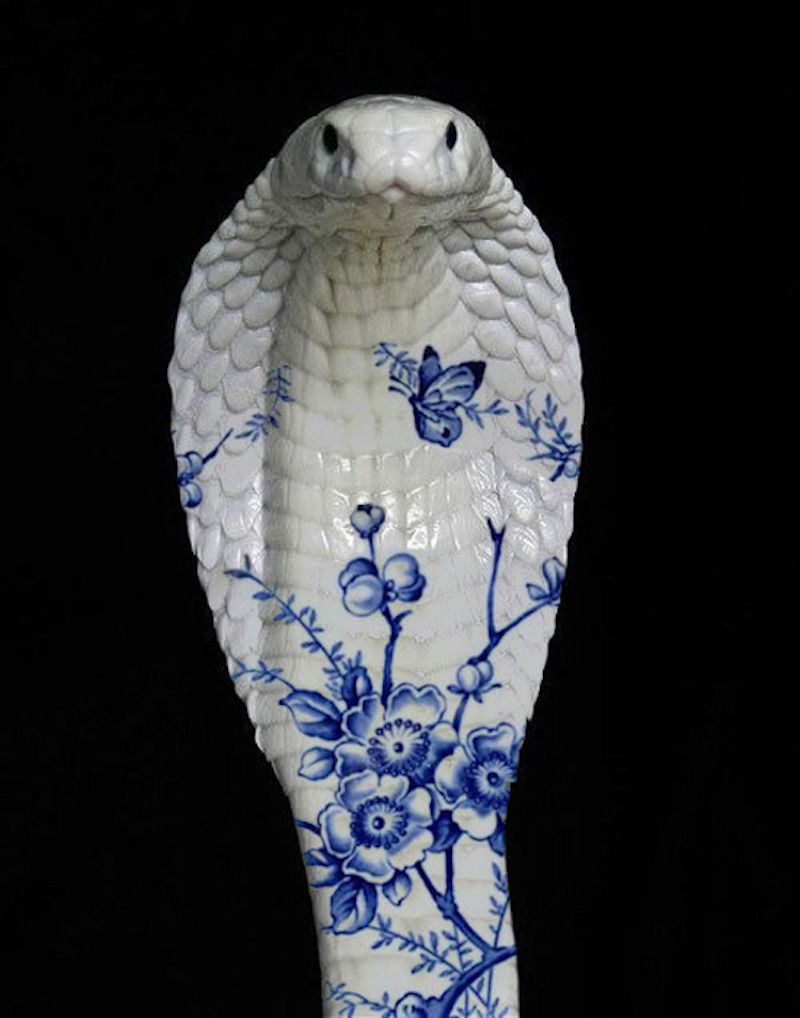 Gewoon een verzameling hilarische foto's #1622