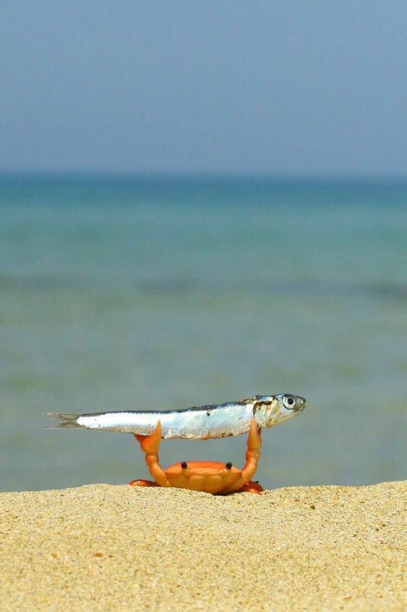 Gewoon een verzameling hilarische foto's #1622