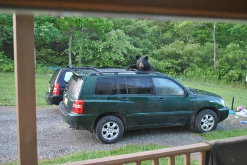 Gewoon een verzameling hilarische foto's #1622