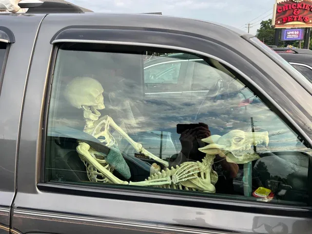 Gewoon een verzameling hilarische foto's #1622