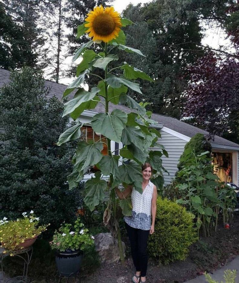 Gewoon een verzameling hilarische foto's #1632