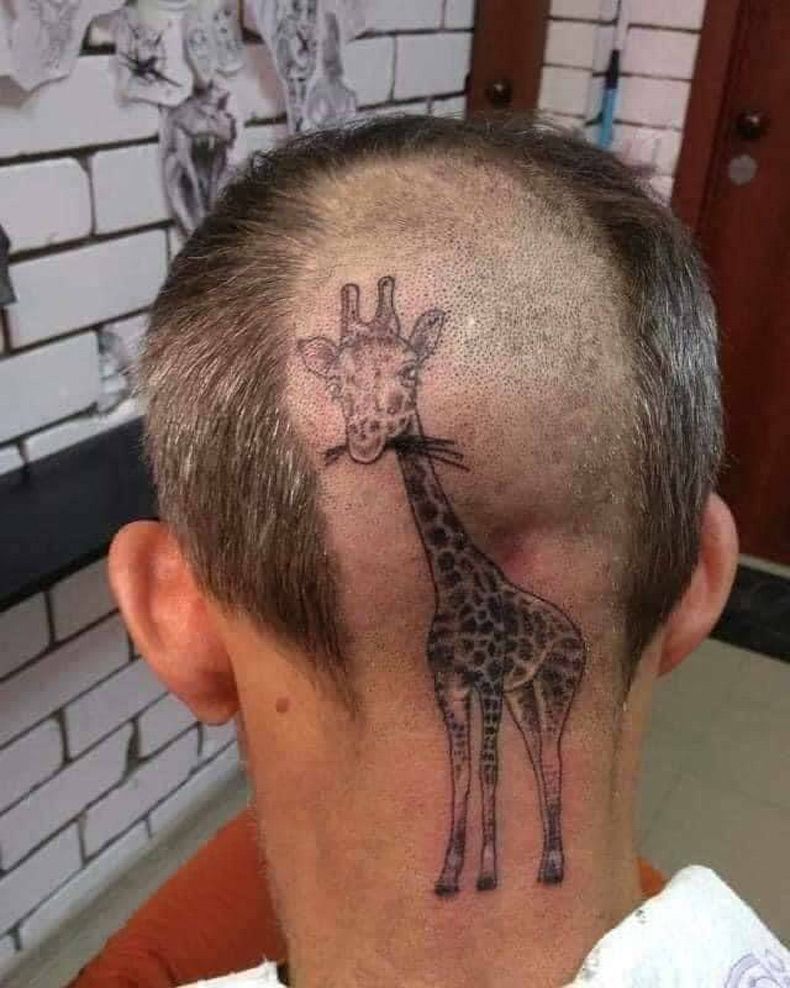 Gewoon een verzameling hilarische foto's #1632