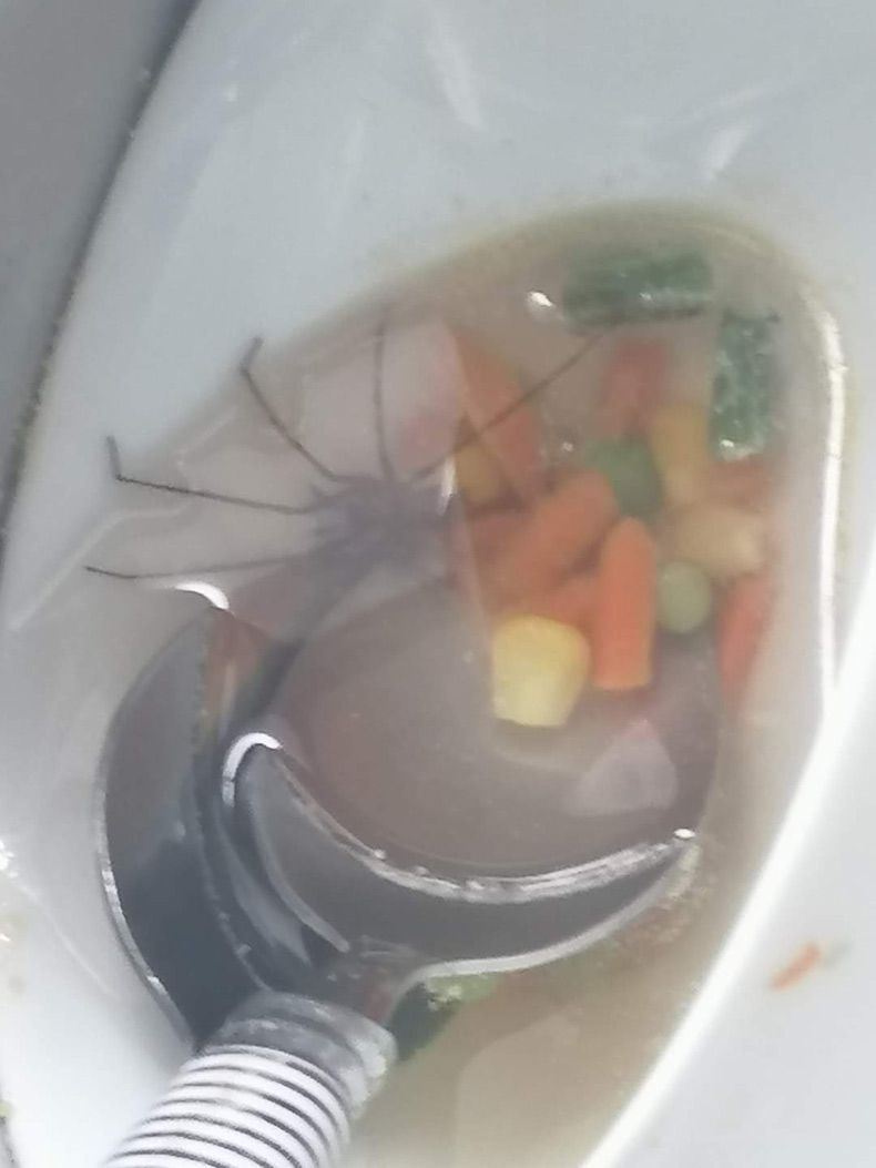 Gewoon een verzameling hilarische foto's #1632