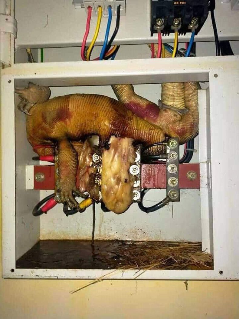 Gewoon een verzameling hilarische foto's #1633