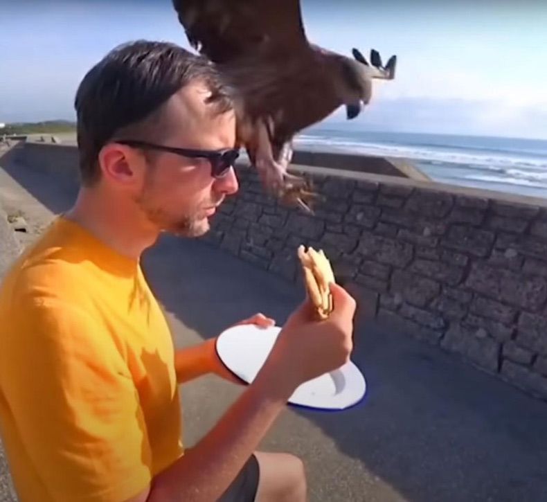 Gewoon een verzameling hilarische foto's #1633