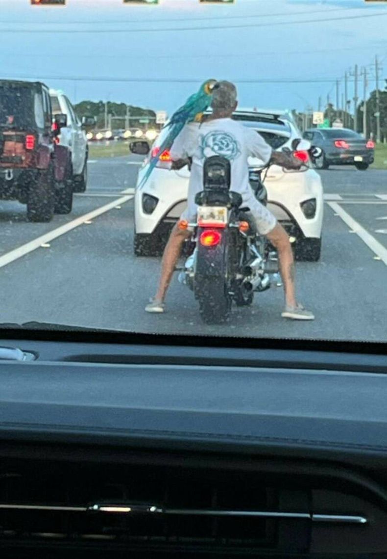 Gewoon een verzameling hilarische foto's #1634