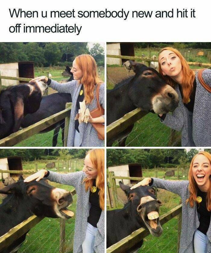 Gewoon een verzameling hilarische foto's #1635