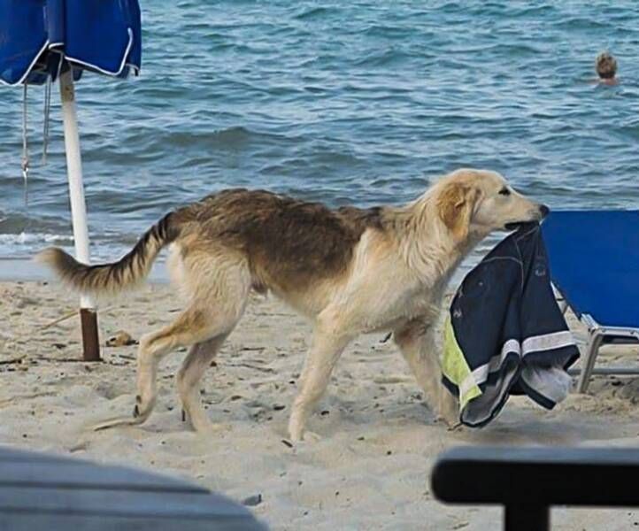 Gewoon een verzameling hilarische foto's #1635