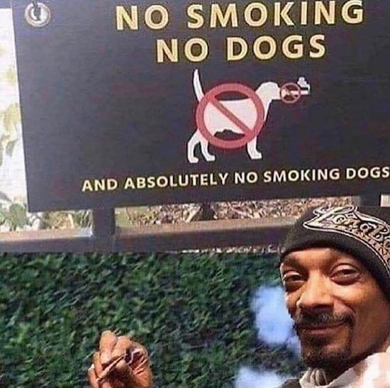 Gewoon een verzameling hilarische foto's #1635