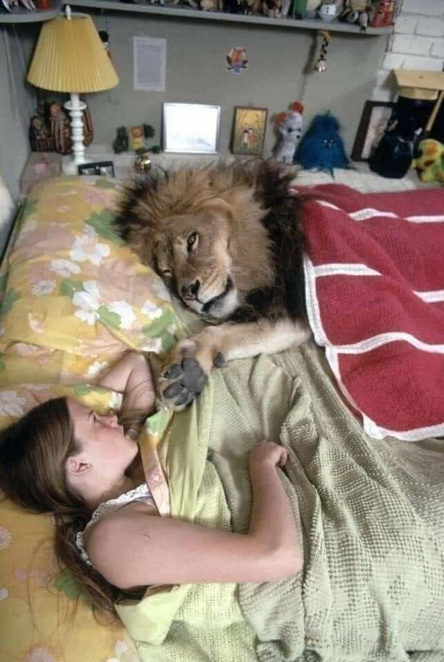 Gewoon een verzameling hilarische foto's #1635