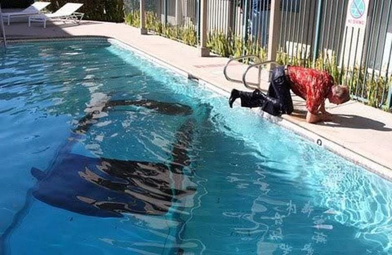 Gewoon een verzameling hilarische foto's #1636