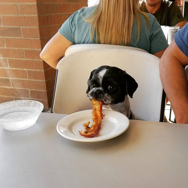 Gewoon een verzameling hilarische foto's #1636