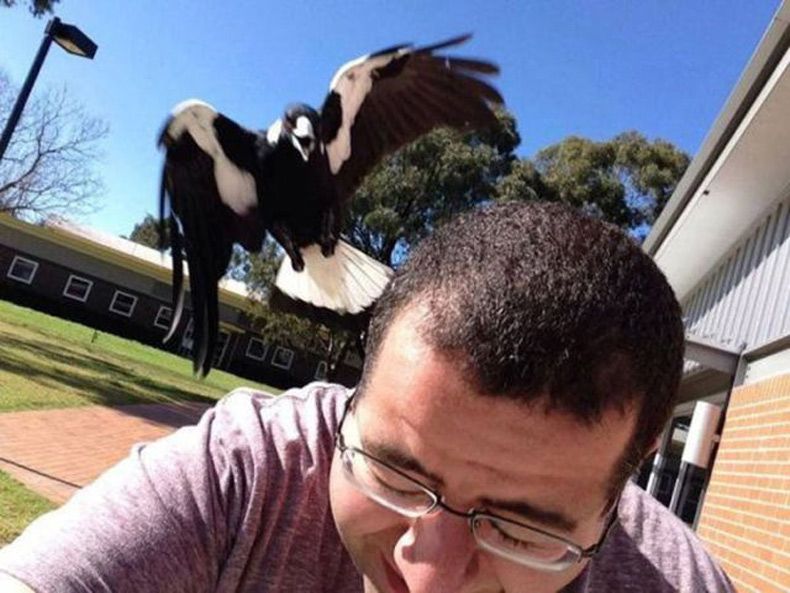 Gewoon een verzameling hilarische foto's #1636