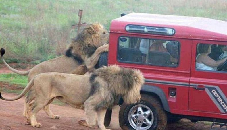 Gewoon een verzameling hilarische foto's #1636