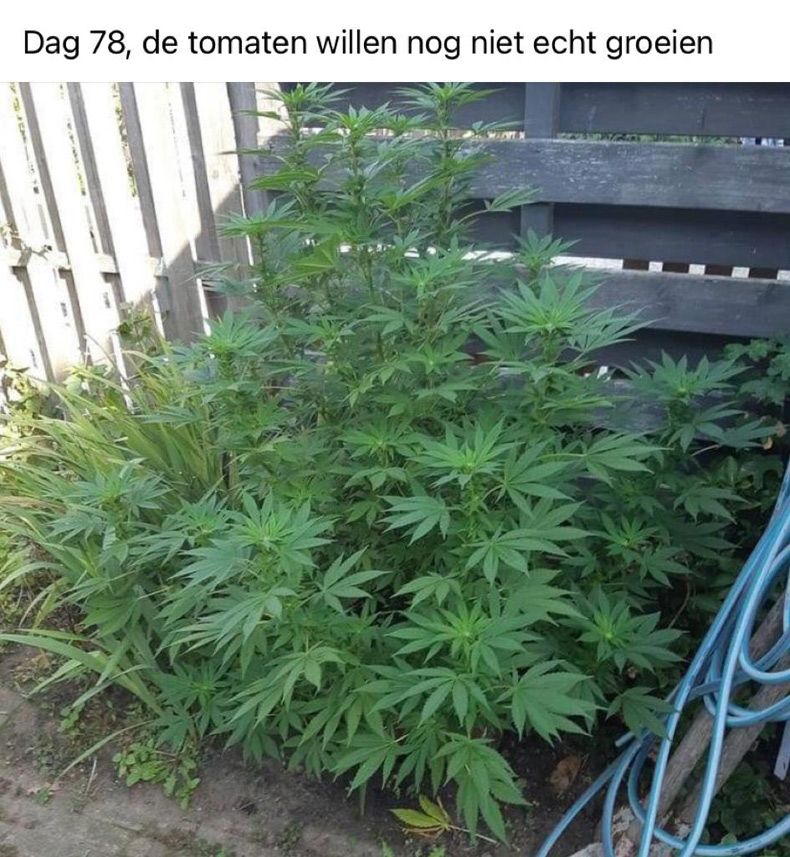 Gewoon een verzameling hilarische foto's #1636