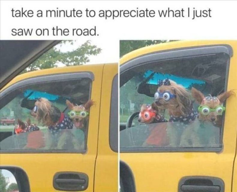 Gewoon een verzameling hilarische foto's #1637