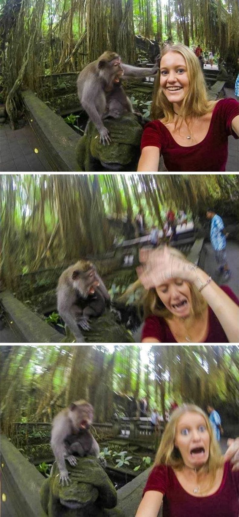 Gewoon een verzameling hilarische foto's #1637
