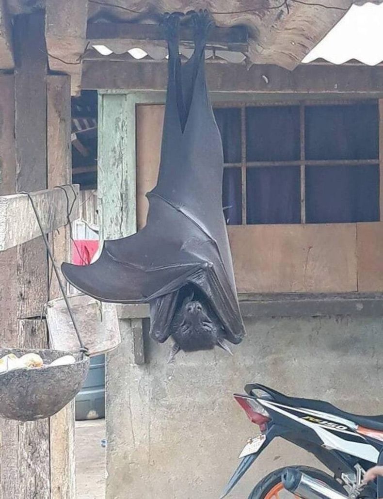 Gewoon een verzameling hilarische foto's #1637